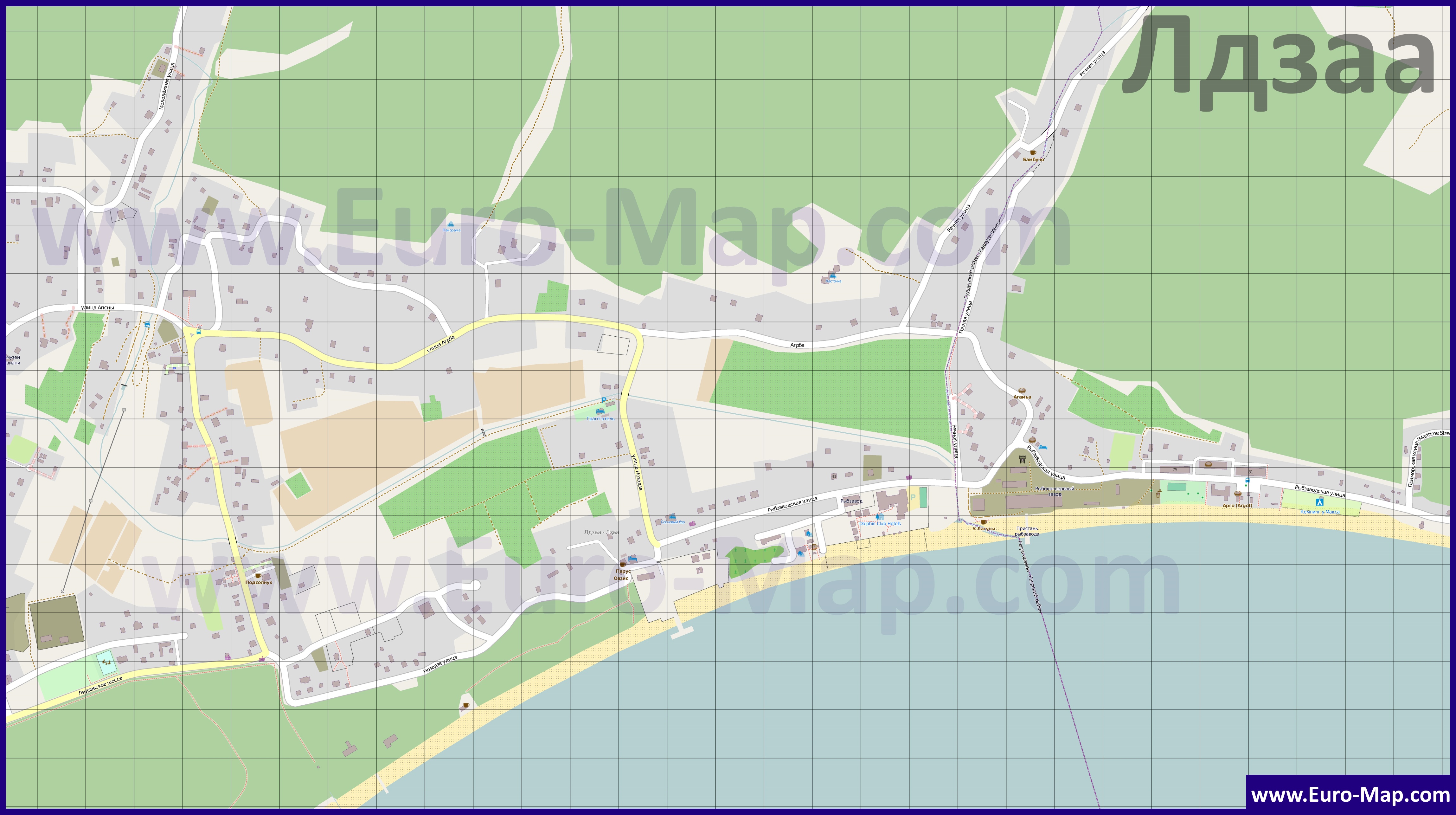 Карта поселка лдзаа с улицами и номерами домов в абхазии