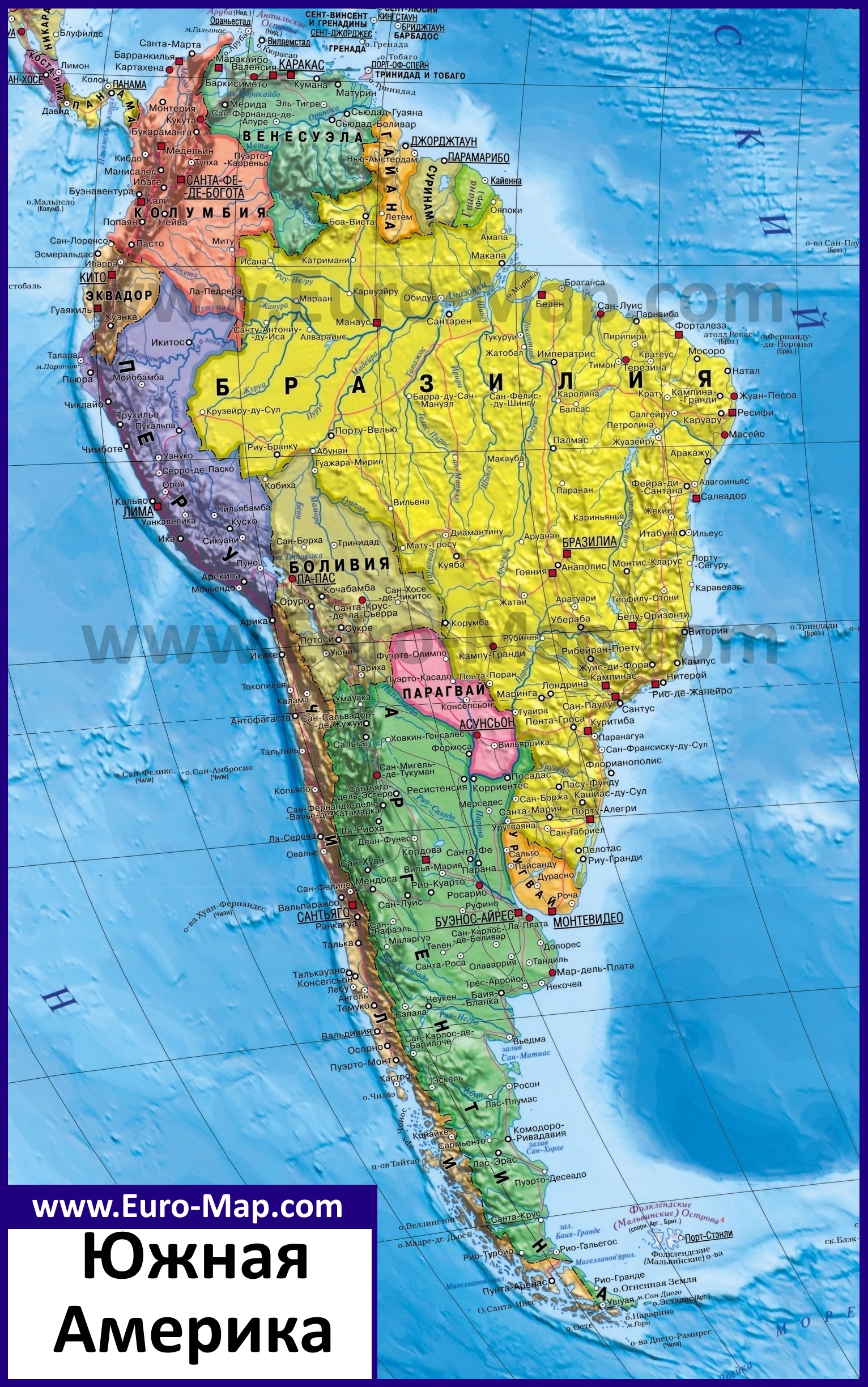 Кактусы южной америки фото с названиями